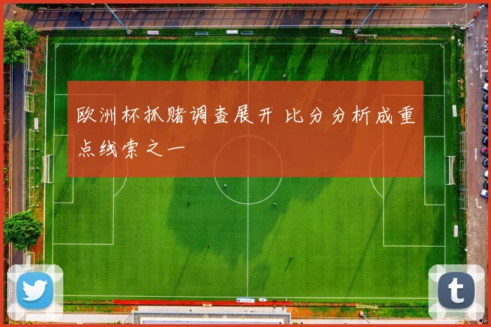 欧洲杯抓赌调查展开 比分分析成重点线索之一