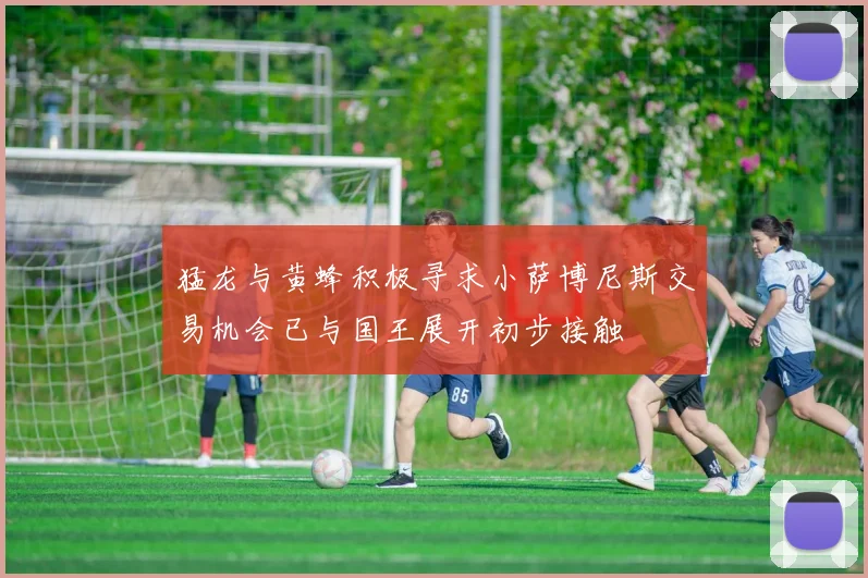 猛龙与黄蜂积极寻求小萨博尼斯交易机会已与国王展开初步接触
