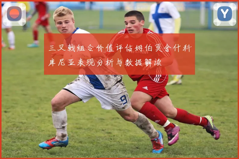 三叉戟组合价值评估姆伯莫舍什科库尼亚表现分析与数据解读
