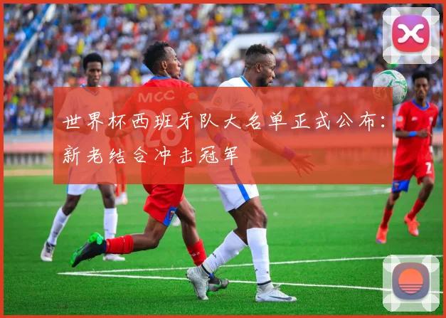 世界杯西班牙队大名单正式公布：新老结合冲击冠军