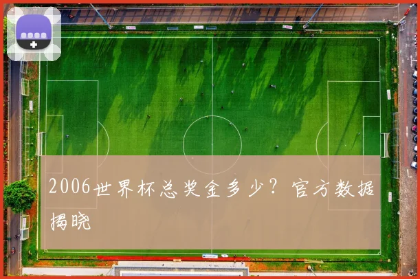 2006世界杯总奖金多少？官方数据揭晓