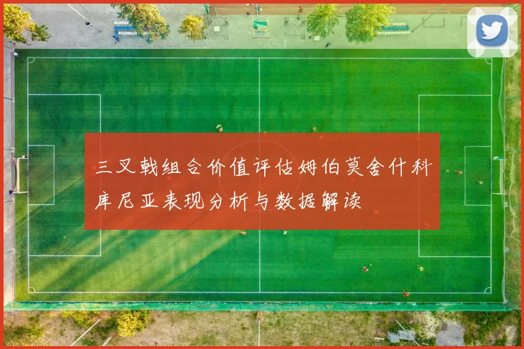 三叉戟组合价值评估姆伯莫舍什科库尼亚表现分析与数据解读