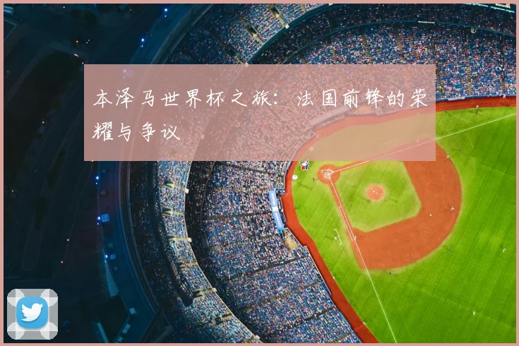本泽马世界杯之旅:法国前锋的荣耀与争议