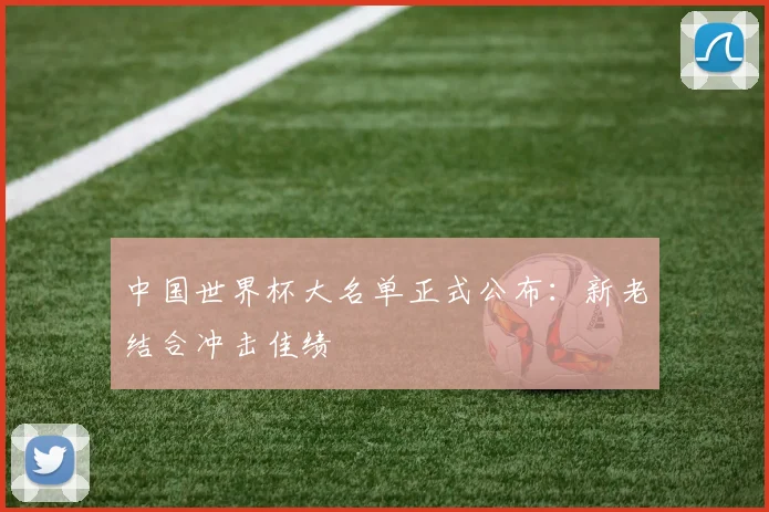 中国世界杯大名单正式公布：新老结合冲击佳绩