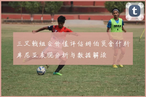 三叉戟组合价值评估姆伯莫舍什科库尼亚表现分析与数据解读