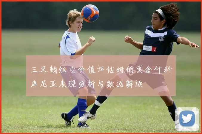 三叉戟组合价值评估姆伯莫舍什科库尼亚表现分析与数据解读