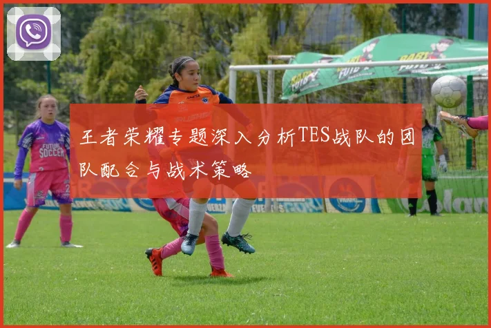 王者荣耀专题深入分析TES战队的团队配合与战术策略