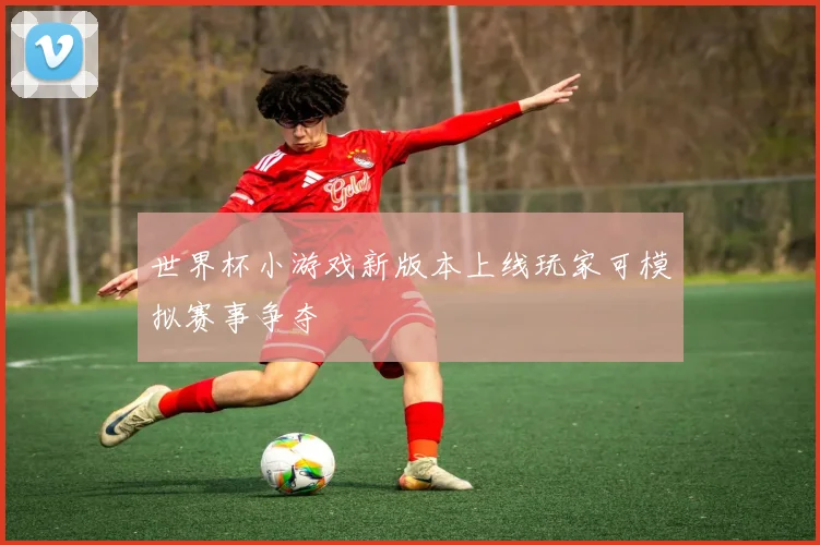 世界杯小游戏新版本上线玩家可模拟赛事争夺