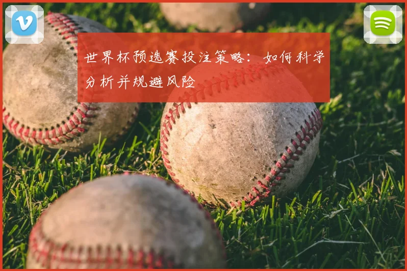 世界杯预选赛投注策略：如何科学分析并规避风险