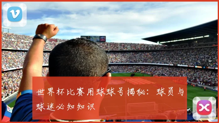 世界杯比赛用球球号揭秘：球员与球迷必知知识