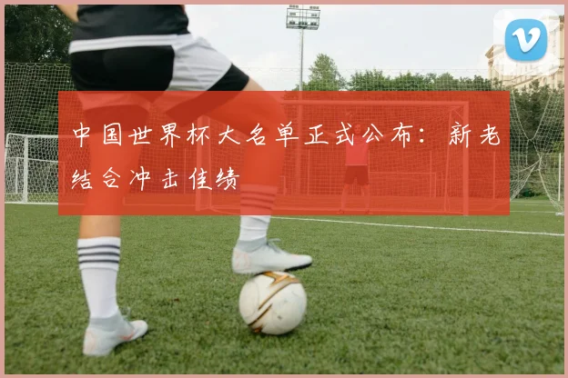 中国世界杯大名单正式公布:新老结合冲击佳绩