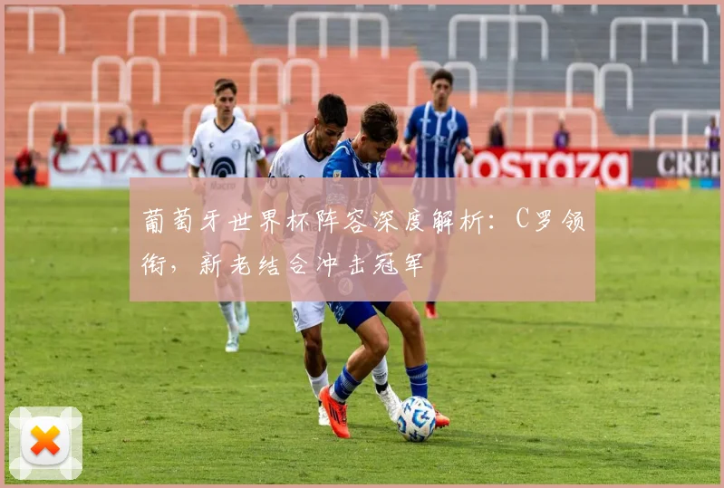 葡萄牙世界杯阵容深度解析：C罗领衔，新老结合冲击冠军